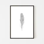 Minimalist framed feather art print on white background - black frame