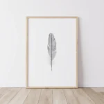 Framed feather artwork on wooden floor.