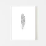 Minimalist feather art - white frame