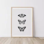 Framed black and white butterfly illustrations on wall.