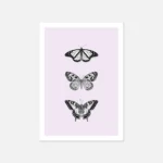Illustration of three black and white butterflies