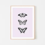 Framed art print of three black-and-white butterflies - timber frame