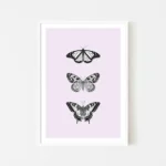 Three black and white butterfly illustrations on pink - white frame