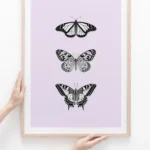 Framed monochrome butterfly art against light purple background.