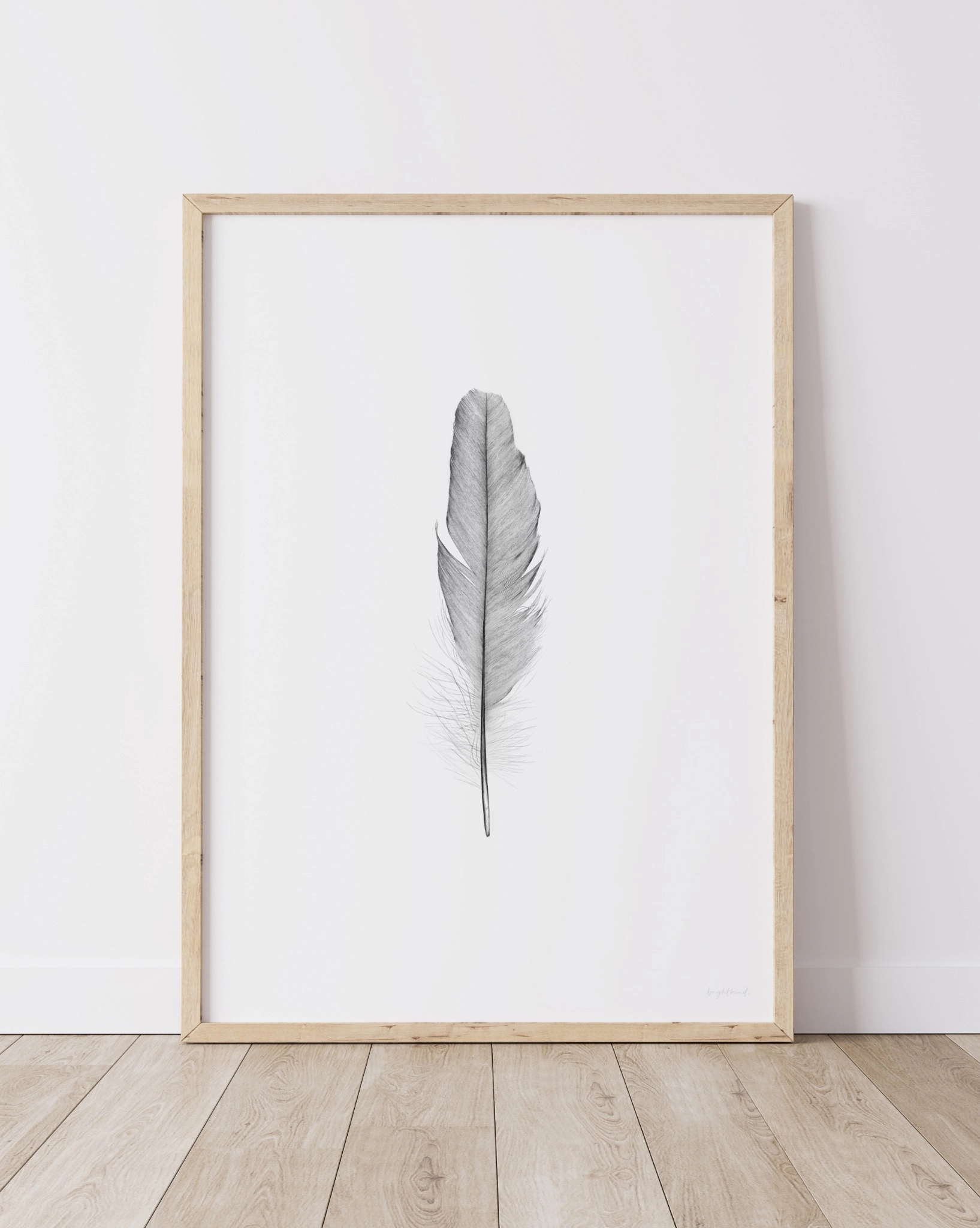 Soft as a Feather – Art Print