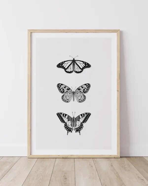 The Butterfly Trio – Art Print